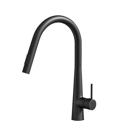 DS NA Kitchen Mixer Tap Pull Out Round 2 Mode Sink Basin Faucet Swivel