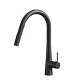 DS NA Kitchen Mixer Tap Pull Out Round 2 Mode Sink Basin Faucet Swivel