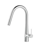 DS NA Kitchen Mixer Tap Pull Out Round 2 Mode Sink Basin Faucet Swivel WELS