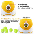 DS NA Rechargeable Automatic Dog Ball Launcher – Includes 15 Mini Tennis Balls