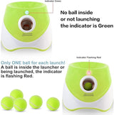 DS NA Automatic Dog Ball Launcher with 15 Mini Tennis Balls & Mesh Bag – Recharg