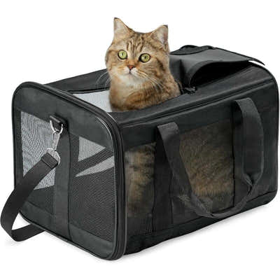 DS NA Pet Carrier Bag – Travel Carrier for Cats, Small Dogs, Kittens & Puppies