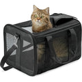 DS NA Pet Carrier Bag – Travel Carrier for Cats, Small Dogs, Kittens & Puppies