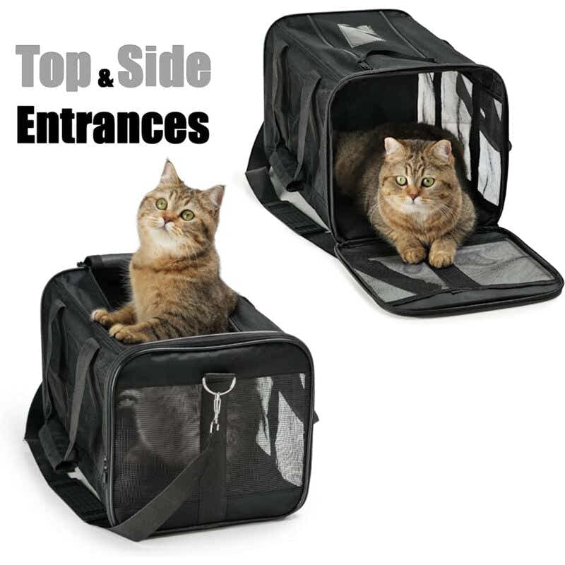 DS NA Pet Carrier Bag – Travel Carrier for Cats, Small Dogs, Kittens & Puppies