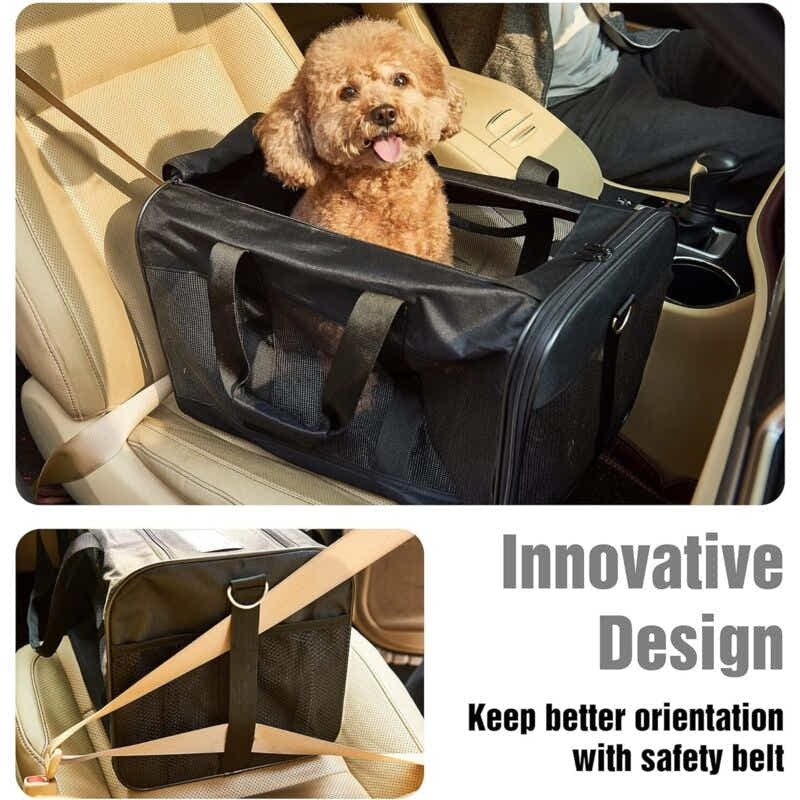 DS NA Pet Carrier Bag – Travel Carrier for Cats, Small Dogs, Kittens & Puppies