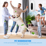 DS NA Air purifier Plug-in negative ion air purifier  LED display