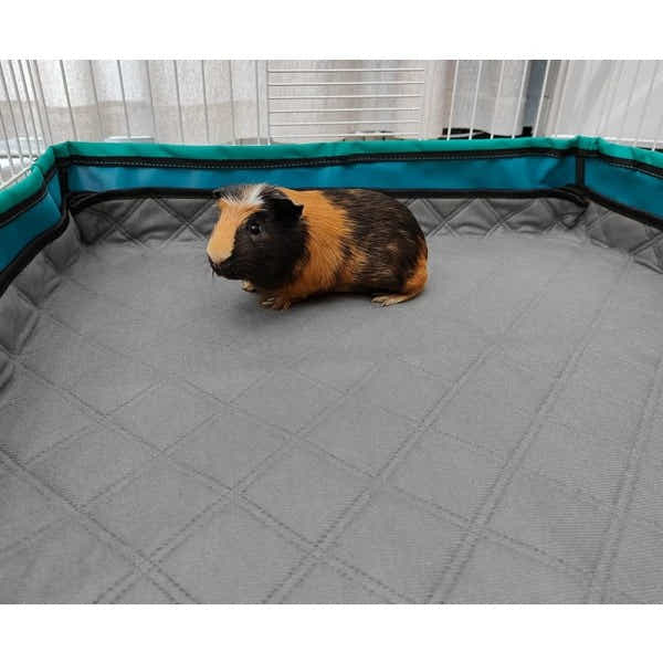 DS NA Burmat Guinea pig 60x120 cm 2-pack GINISWEETY