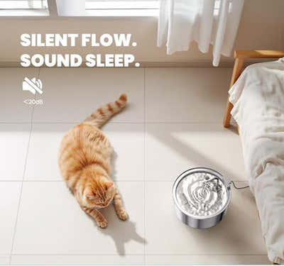 DS NA Cat Drinking Fountain – Quiet 3.2L Stainless Steel Water Fountain