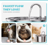 DS NA Cat Drinking Fountain – Quiet 3.2L Stainless Steel Water Fountain