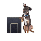 DS NA Dog Claw Training Board - File Trimmer Board, Trimming Board, Scratching
