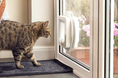DS NA Cat Mate cat flap, white, comfortable for cat to get in and out