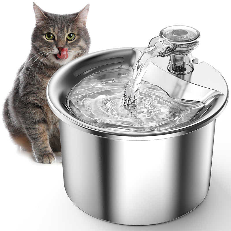 DS NA Beginner Package Stainless Steel Pet Water Fountain with Automatic Power-O