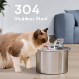 DS NA Beginner Package Stainless Steel Pet Water Fountain with Automatic Power-O