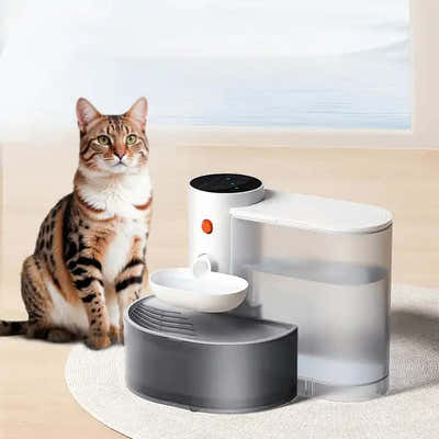 DS NA Smart Pet Water Dispenser - Tilted Design, Fresh Water Supply, Automatic W