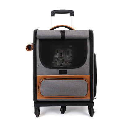 DS NA Grey Large Capacity Breathable Foldable Pet Trolley – Travel Cat Carrier