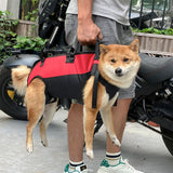 DS NA L Black Multifunctional Pet Backpack with Adjustable Straps, Outdoor Assis