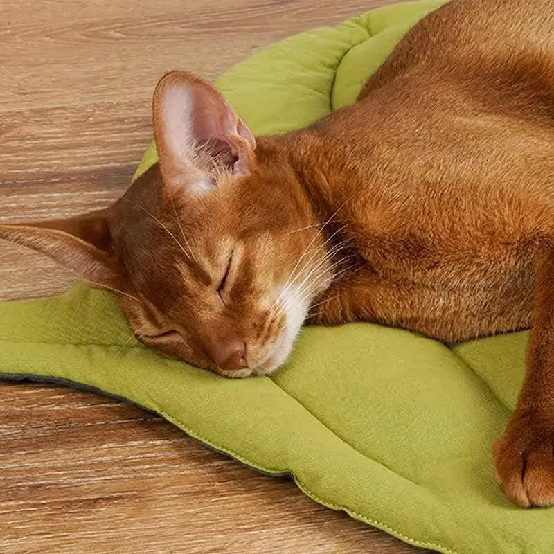 DS NA 2 Pcs Yellow Leaf-Shaped Pet Sleeping Mat - Durable Dog Floor Pad & Cat