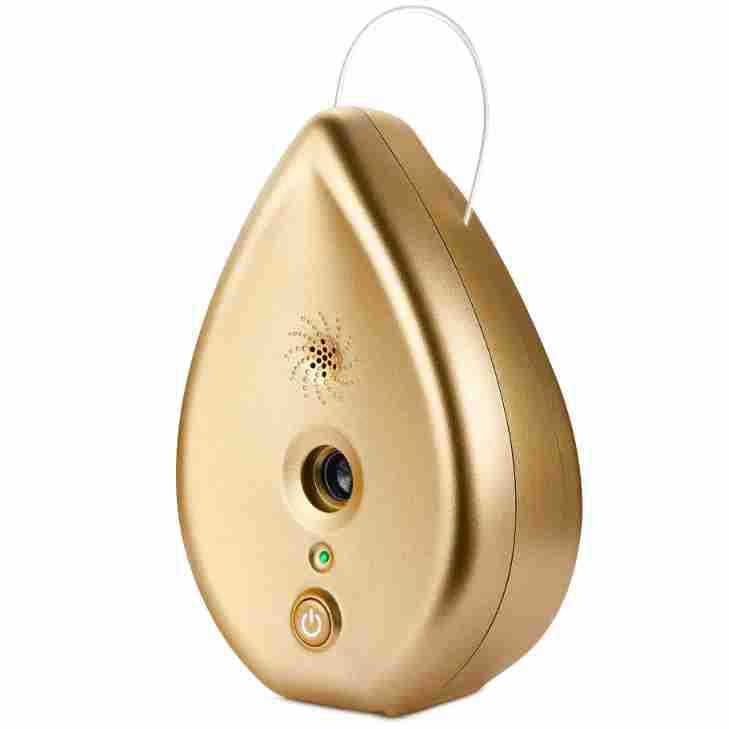 DS NA Automatic Ultrasonic Dog Bark Deterrent - Up to 50ft Range, Safe Frequency