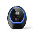 DS NA Black Rechargeable Ozone & UV-C Air Purifier with Remote - Portable