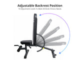 DS Heavy Duty Adjustable Weight Bench