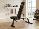 DS Heavy Duty Adjustable Weight Bench - 450 Kg
