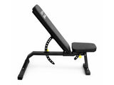 DS Heavy Duty Adjustable Weight Bench - 450 Kg