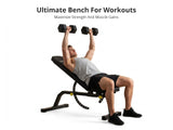 DS Heavy Duty Adjustable Weight Bench - 450 Kg