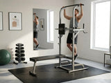 DS Weight Bench Chin Up Bar