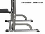DS Weight Bench Chin Up Bar