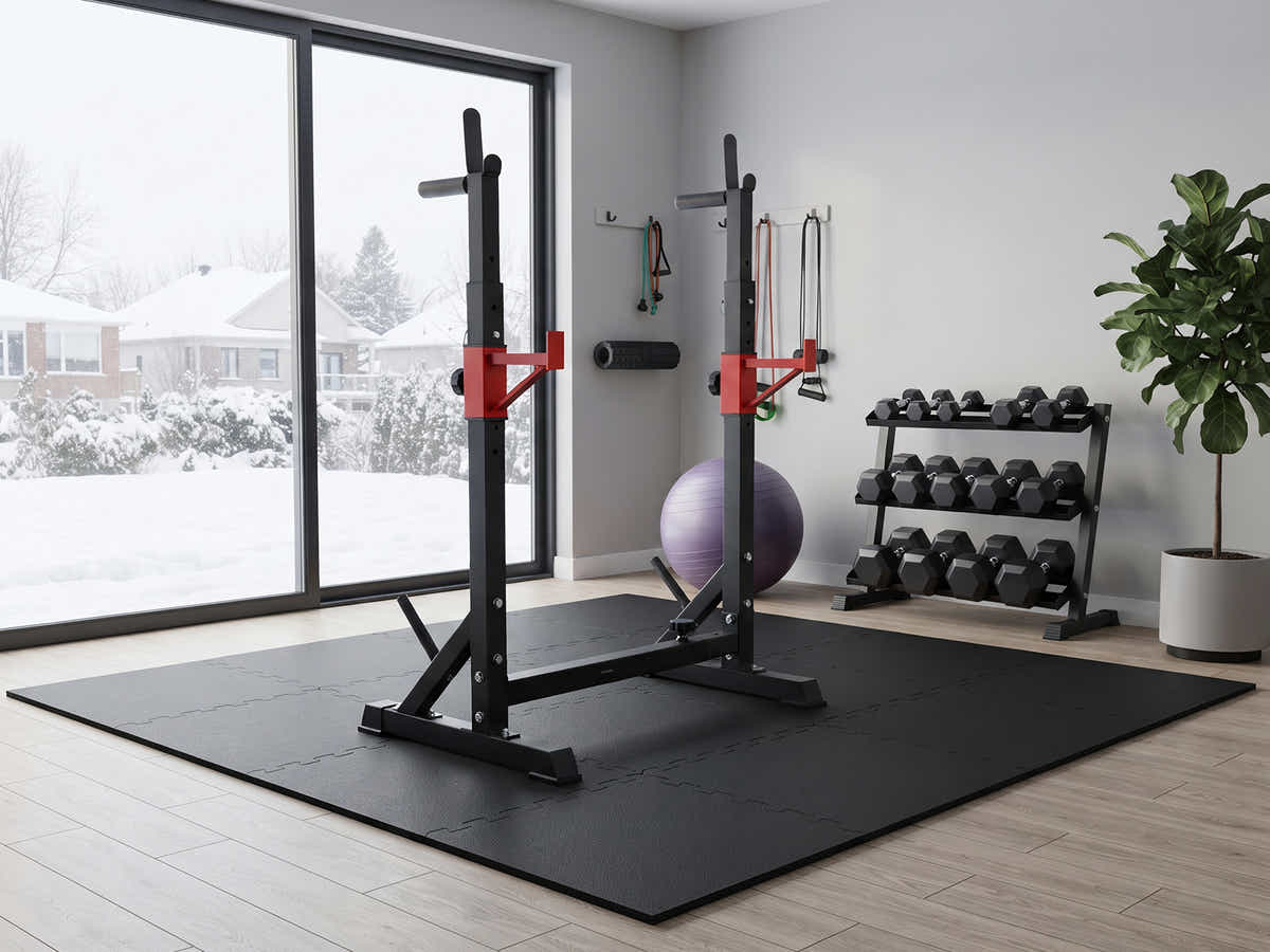 DS Adjustable Squat & Barbell Rack With T-Frame Base