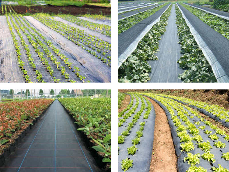 100gsm Weed Mat - 1m x 100m Roll