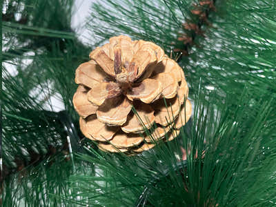 Christmas Tree with LED Lights - 6Ft/180 cm