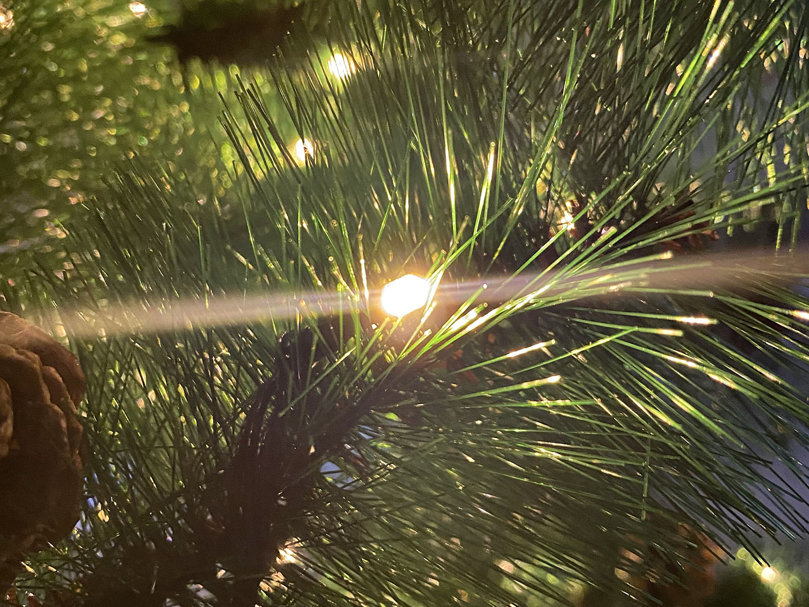 Christmas Tree with LED Lights - 6Ft/180 cm