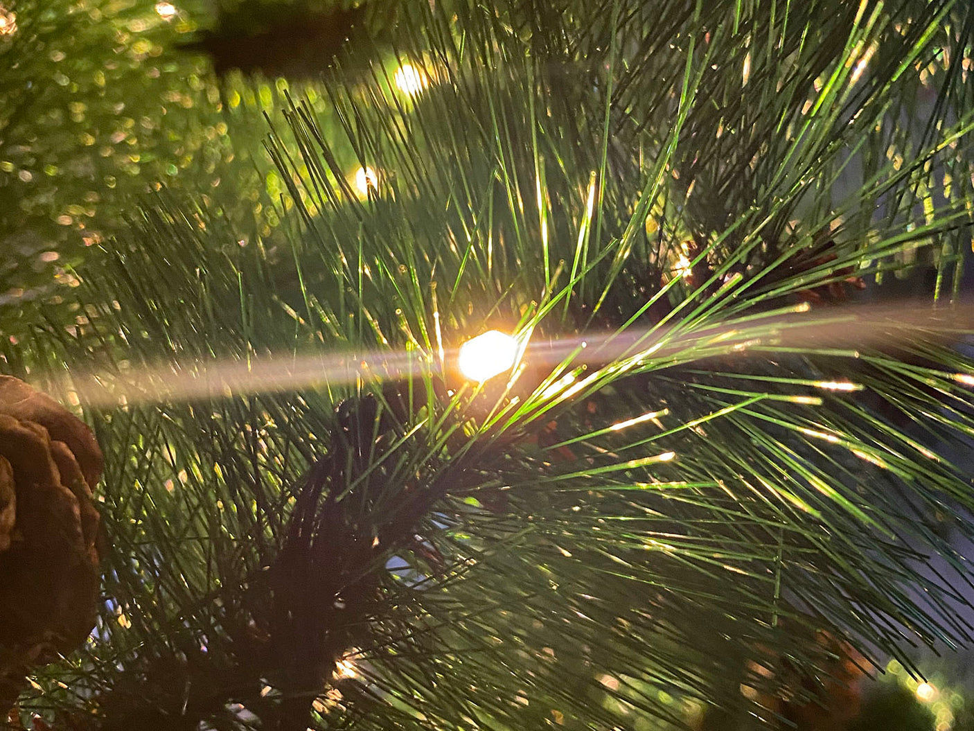Christmas tree LED lights 6FT