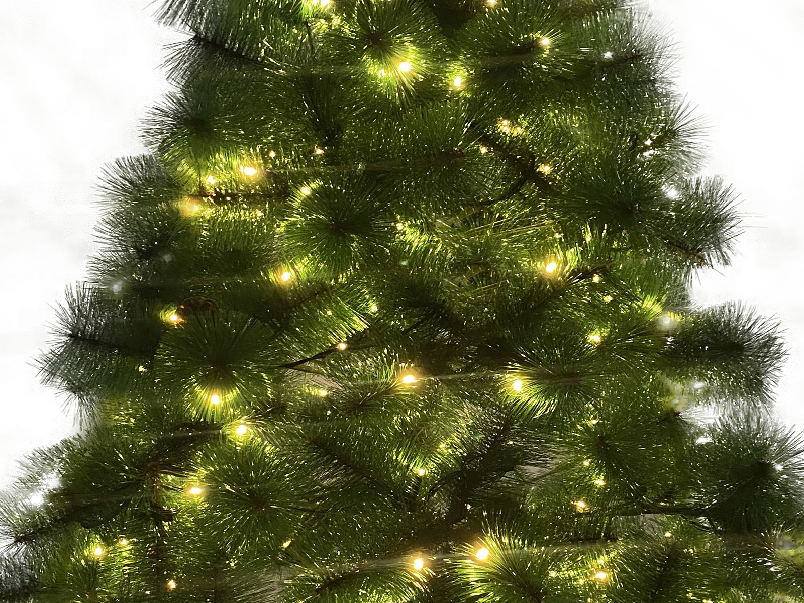 Christmas Tree with LED Lights - 7Ft/210 cm