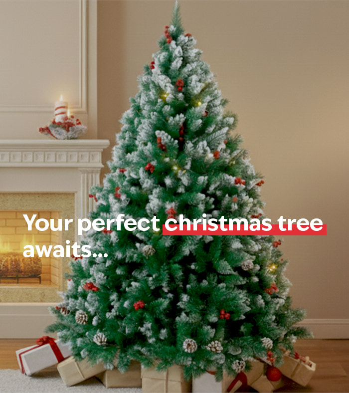 tsb-living-image-banner