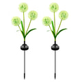 DS BS 2Pack Solar Outdoor Garden Color Changing/Warm White Light