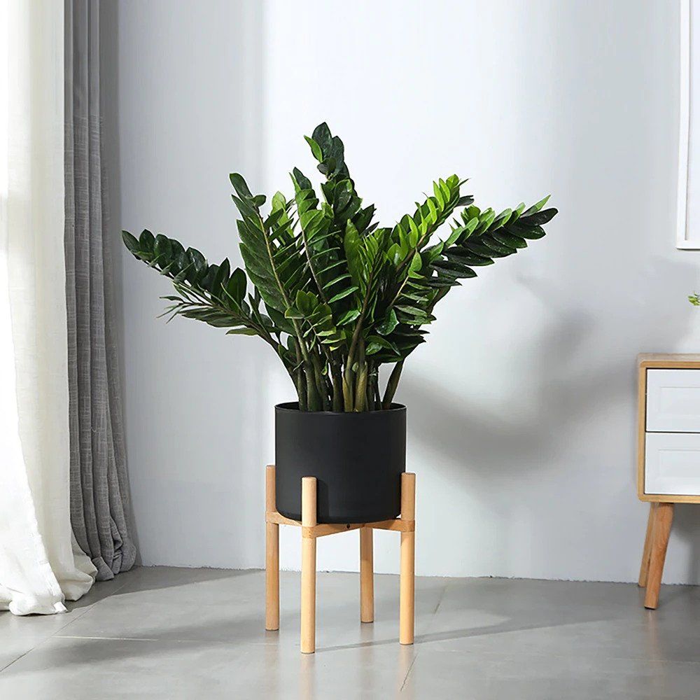 DS BS Modern Flower Pot with Display Potted Rack-Black