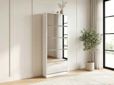 DS 5-Tier Mirror Shoe Organizer
