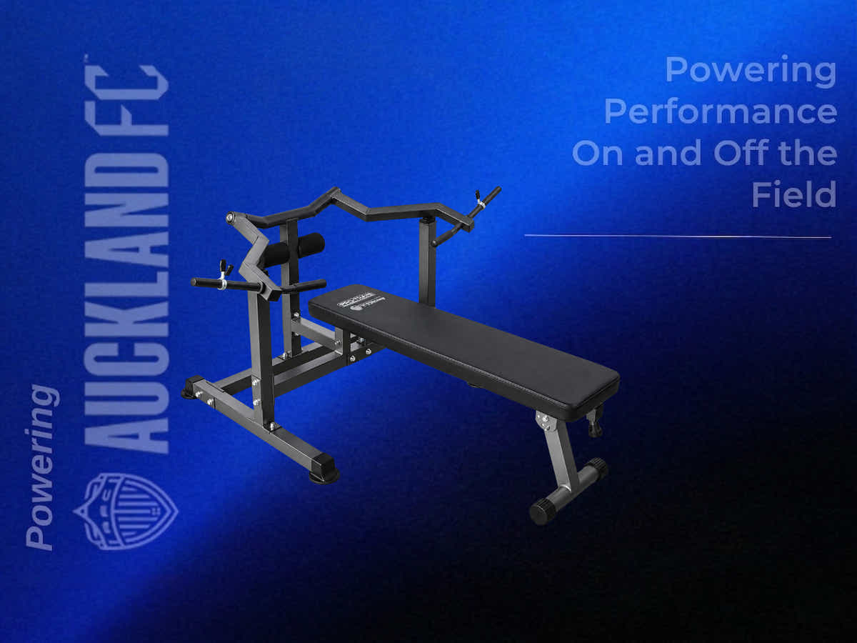 DS Chest Press Machine Folding Workout Bench