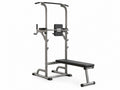 DS Weight Bench Chin Up Bar