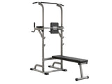 DS Weight Bench Chin Up Bar