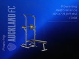 DS Weight Bench Chin Up Bar