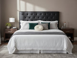 Raisa PU Headboard Black - Queen