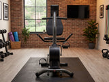 Recumbent Bike