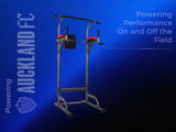 DS 4-in-1 Multifunction Power Tower
