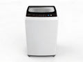 Midea 5.5KG Top Loader Washing Machine