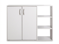 DS Okura 2-Door Shoe Cabinet with Shelf - White