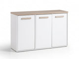 Orewa 3-Door Shoe Cabinet - Wall Mounted or Freestanding