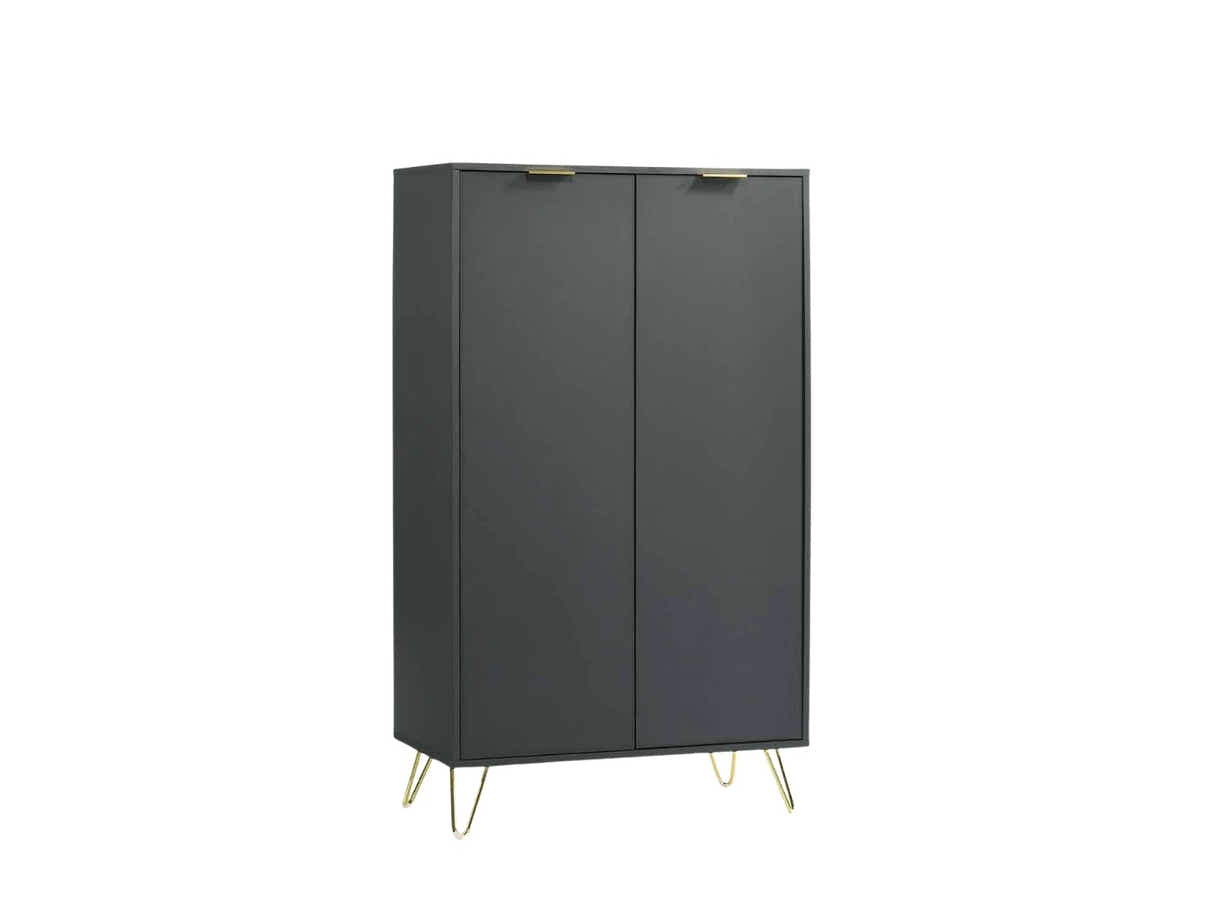 Zinnia 2-Door Shoe Storage Cabinet